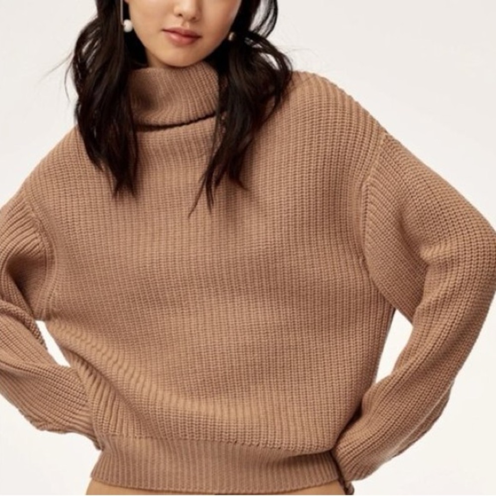 Wilfred Montpellier Turtleneck Relaxed Fit Sweater